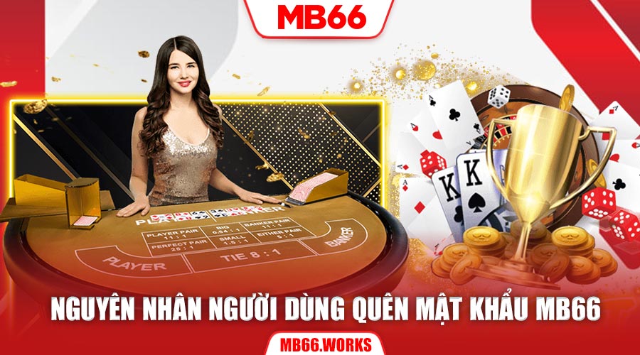 Bạn quên mật khẩu MB66 trong những tình huống nào? 